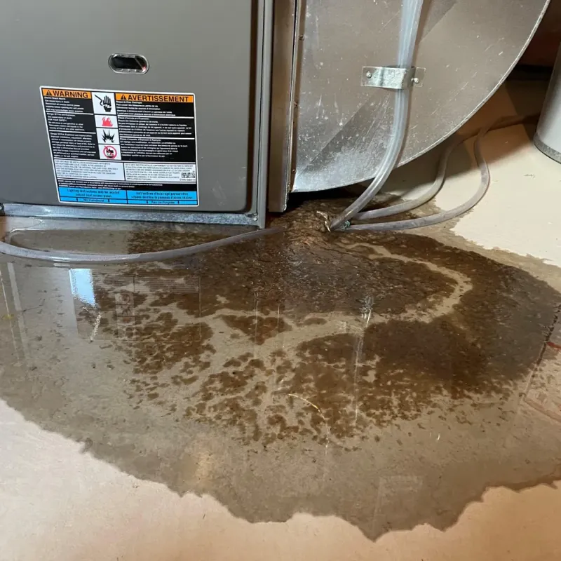 Appliance Leak Cleanup in Choctaw County, MS